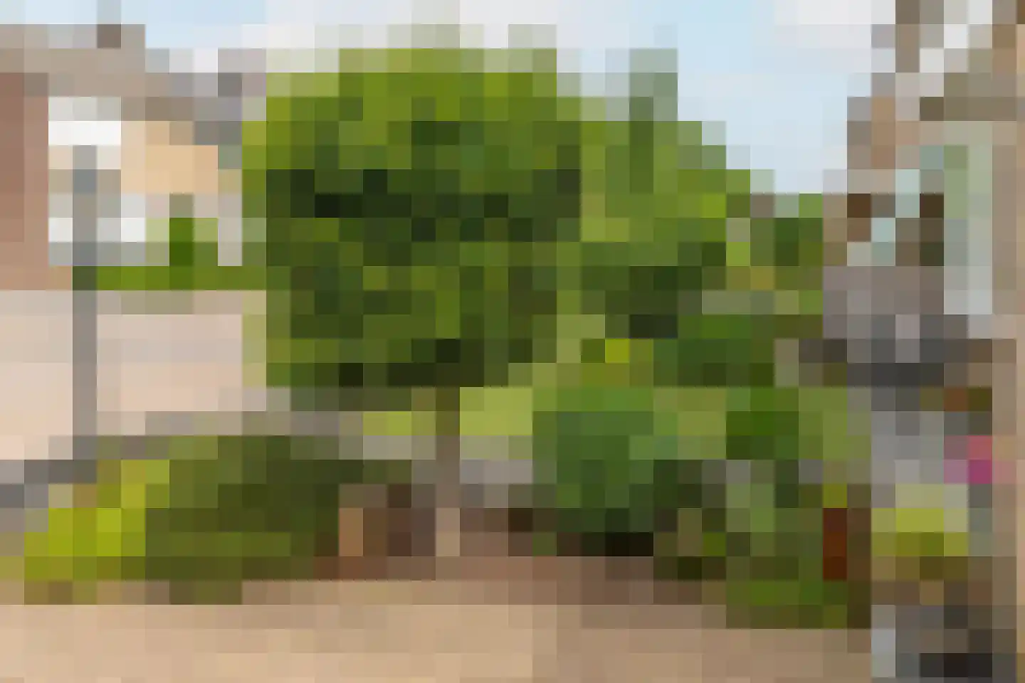 Kollumerlandstraat 2 Ochten thumbnail 53