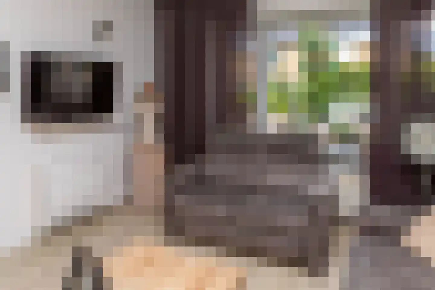 Kollumerlandstraat 2 Ochten thumbnail 57