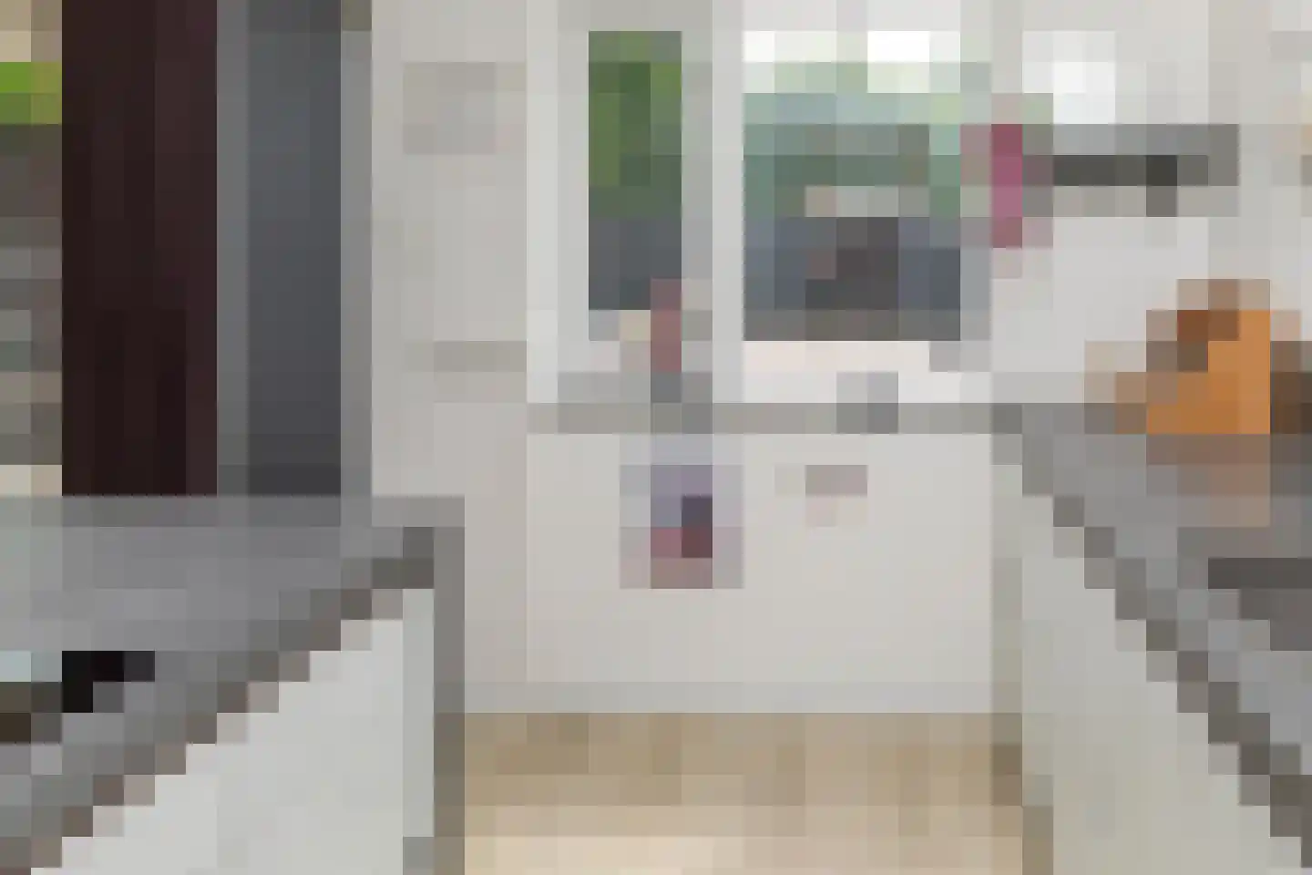 Kollumerlandstraat 2 Ochten thumbnail 62