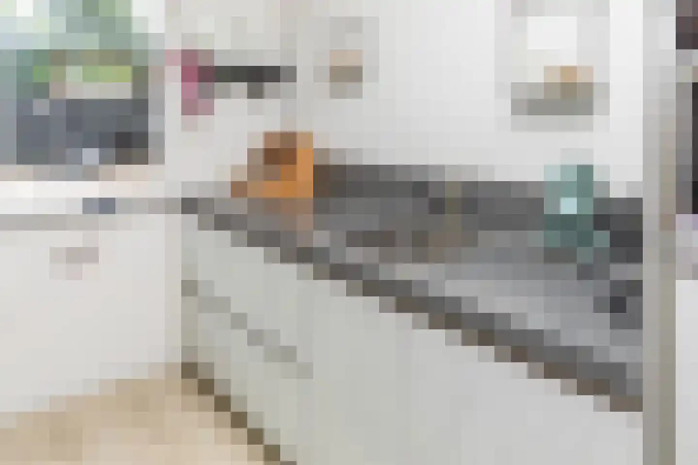 Kollumerlandstraat 2 Ochten thumbnail 63