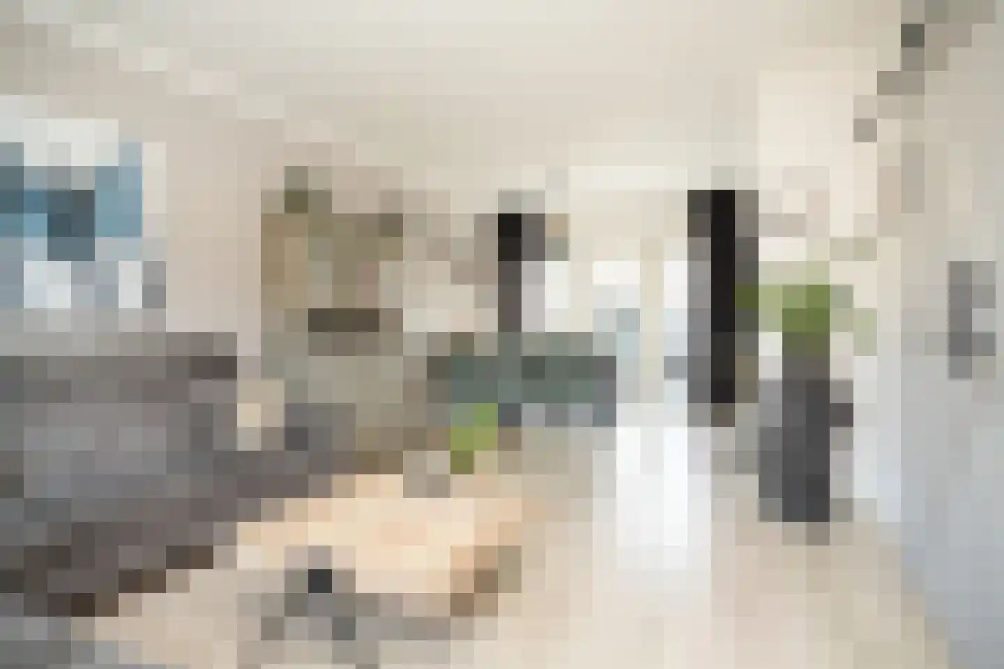 Kollumerlandstraat 2 Ochten thumbnail 9