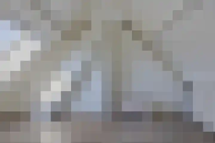 Kollumstraat 3 Tilburg thumbnail 34