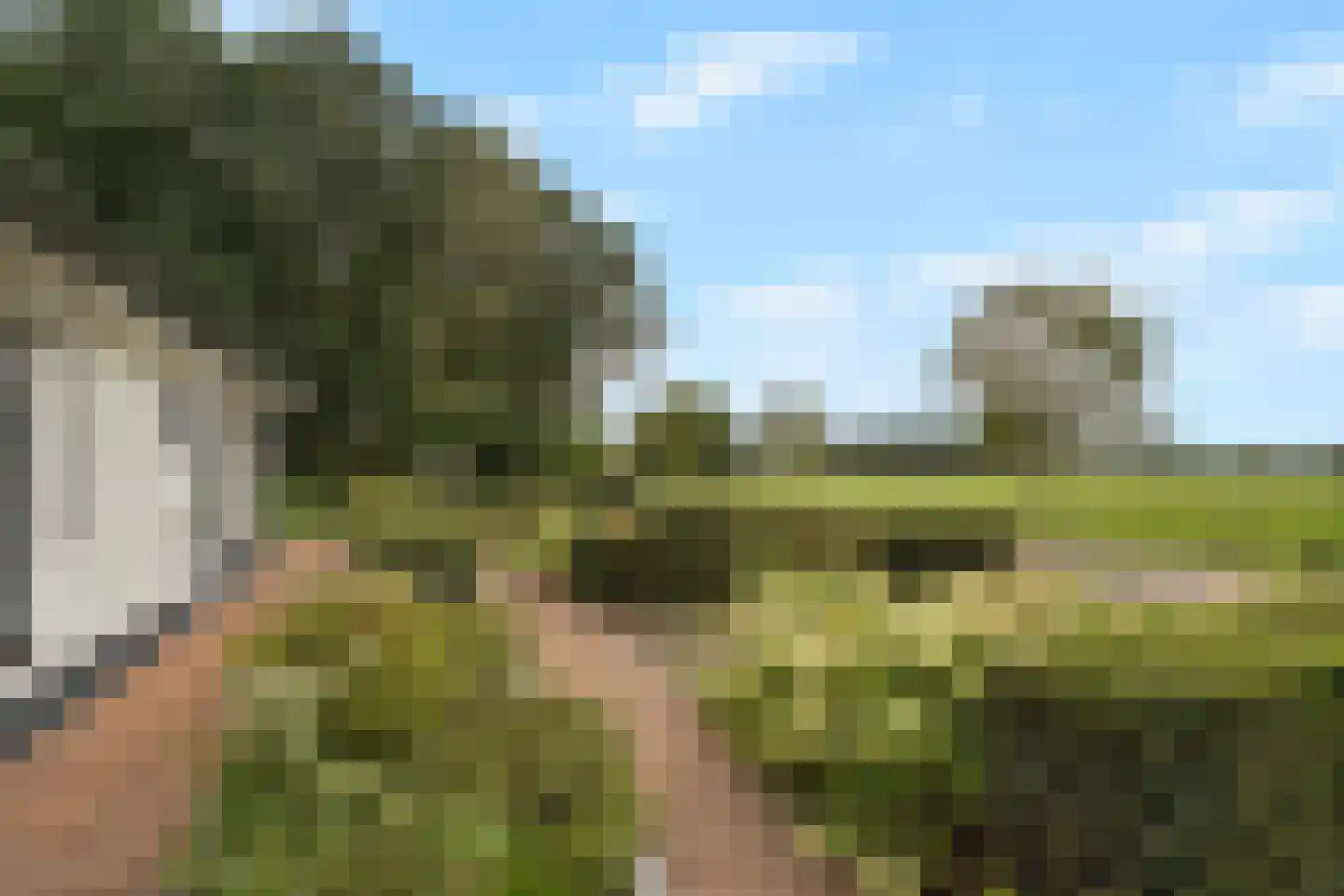 Kolmansweg 26 Nunspeet thumbnail 19