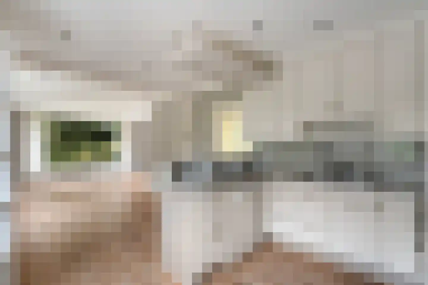 Kolmansweg 26 Nunspeet thumbnail 4