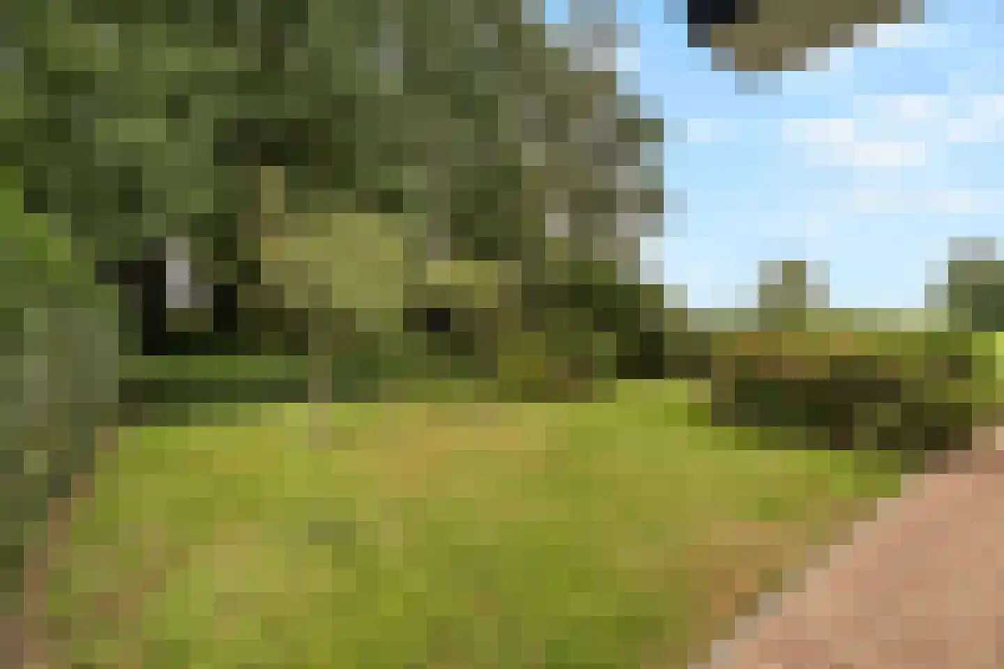 Kolmansweg 26 Nunspeet thumbnail 43