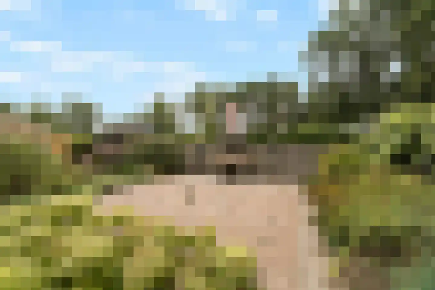 Kolmansweg 26 Nunspeet thumbnail 44