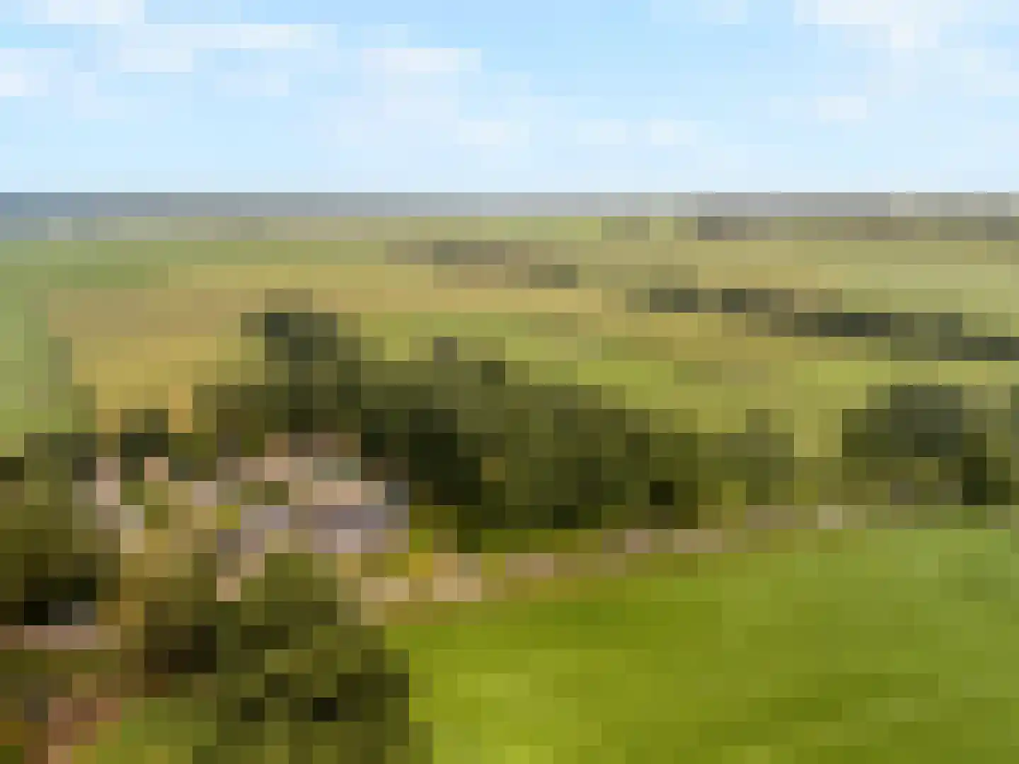 Kolmansweg 26 Nunspeet thumbnail 50