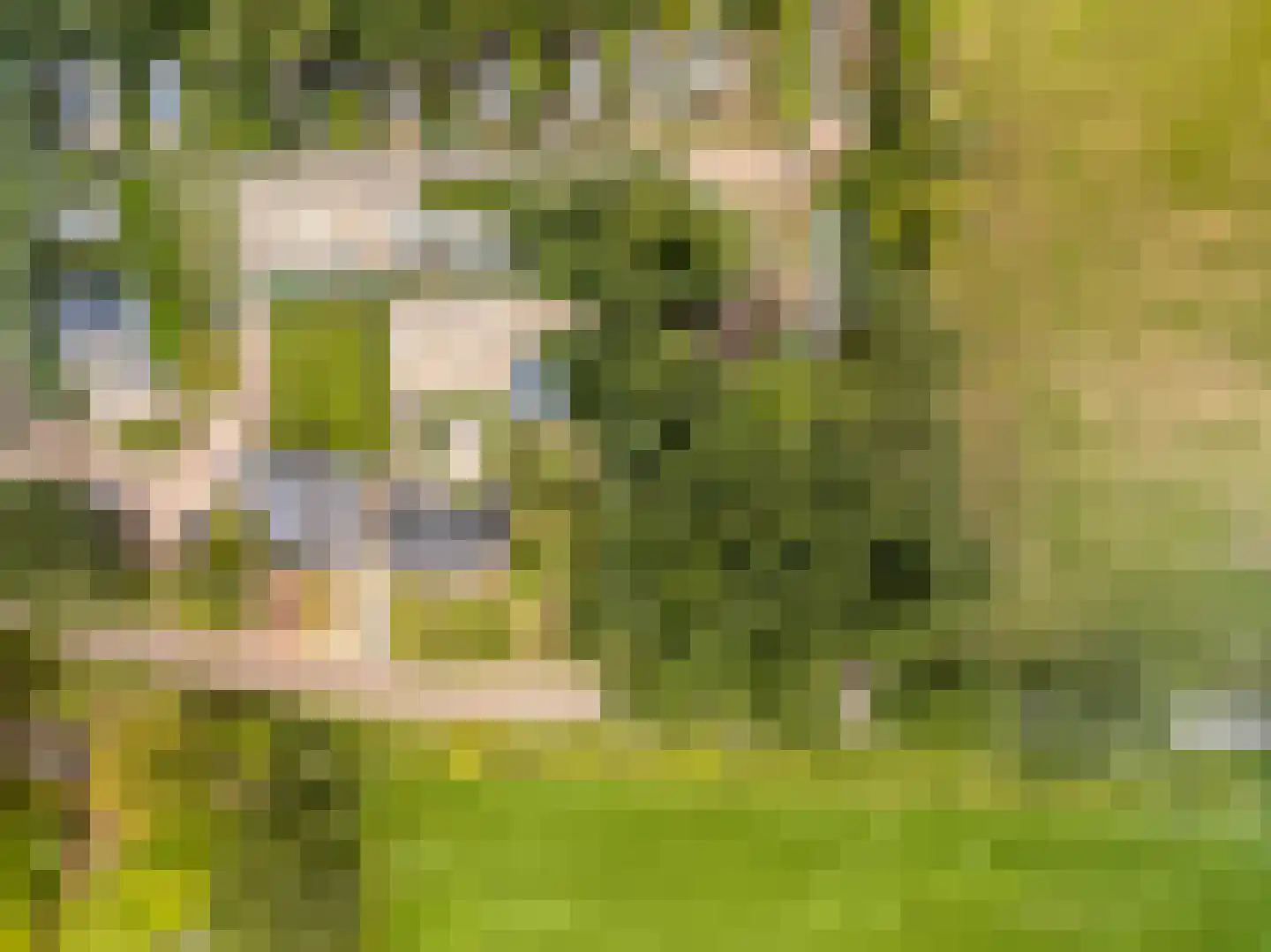 Kolmansweg 26 Nunspeet thumbnail 51