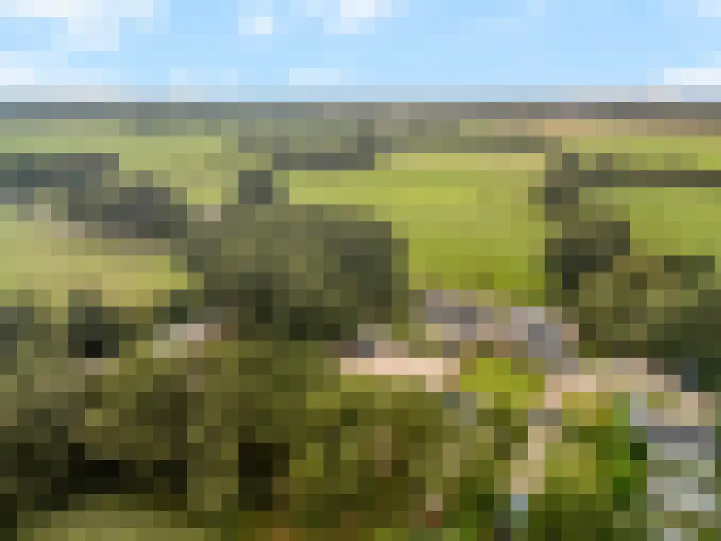 Kolmansweg 26 Nunspeet thumbnail 52