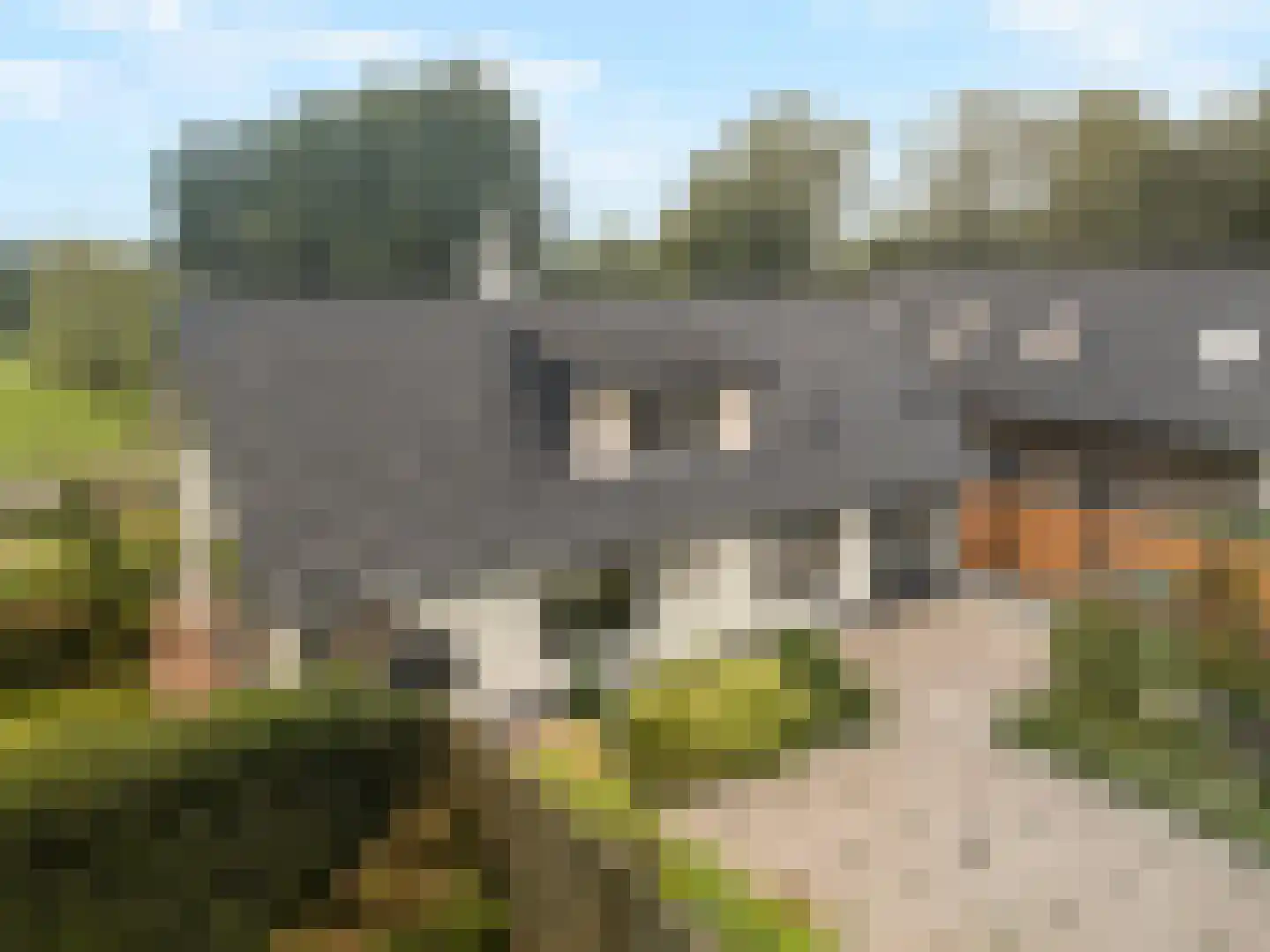 Kolmansweg 26 Nunspeet thumbnail 54