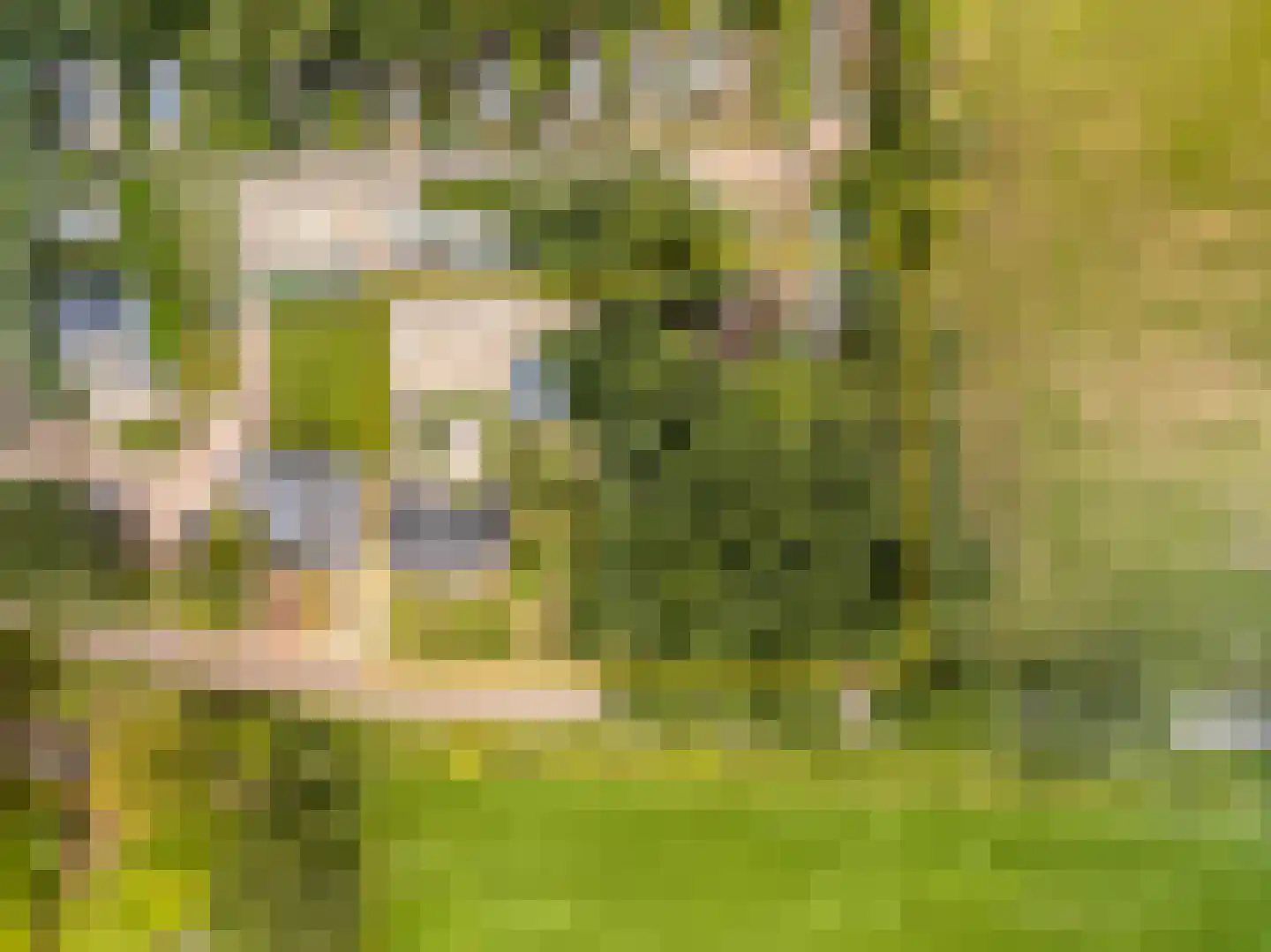 Kolmansweg 26 Nunspeet thumbnail 9