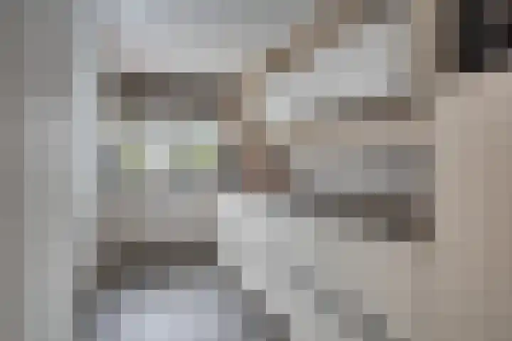 Kolmeer 11 Sneek thumbnail 10