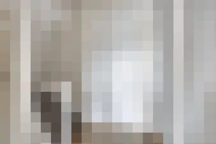 Kolmeer 11 Sneek thumbnail 15