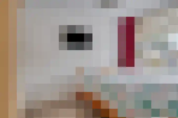 Kolmeer 11 Sneek thumbnail 17