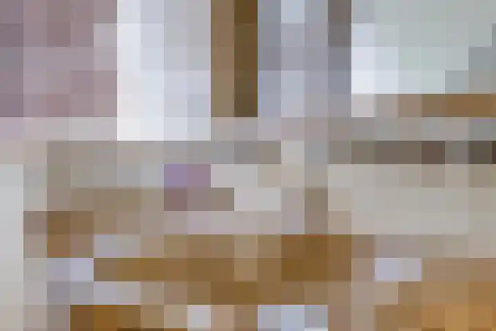 Kolmeer 11 Sneek thumbnail 20