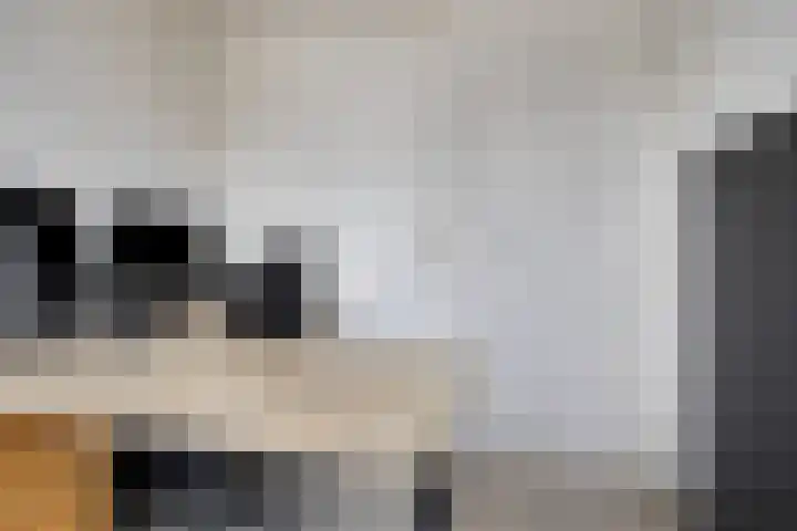 Kolmeer 11 Sneek thumbnail 26