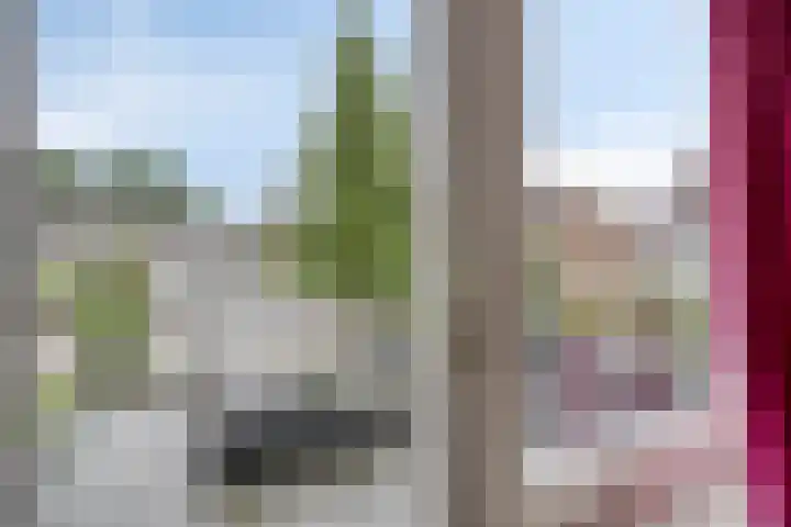 Kolmeer 11 Sneek thumbnail 27