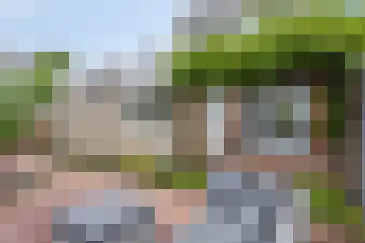 Kolmeer 11 Sneek thumbnail 35