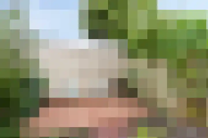 Kolmeer 11 Sneek thumbnail 36