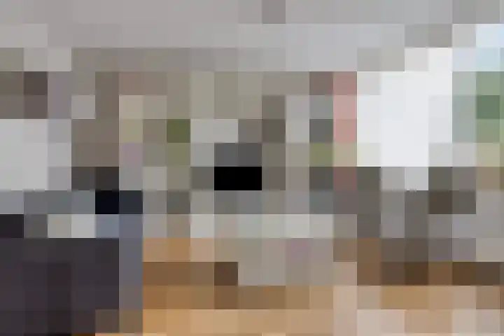 Kolmeer 11 Sneek thumbnail 5