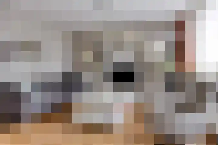 Kolmeer 11 Sneek thumbnail 6