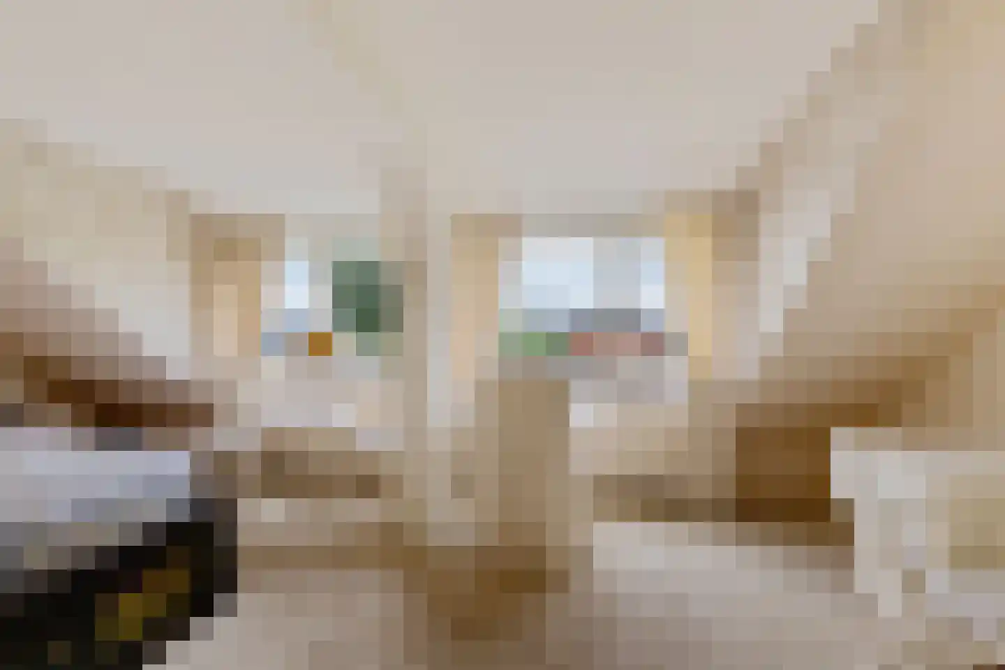 Kolmeer 16 Sneek thumbnail 39