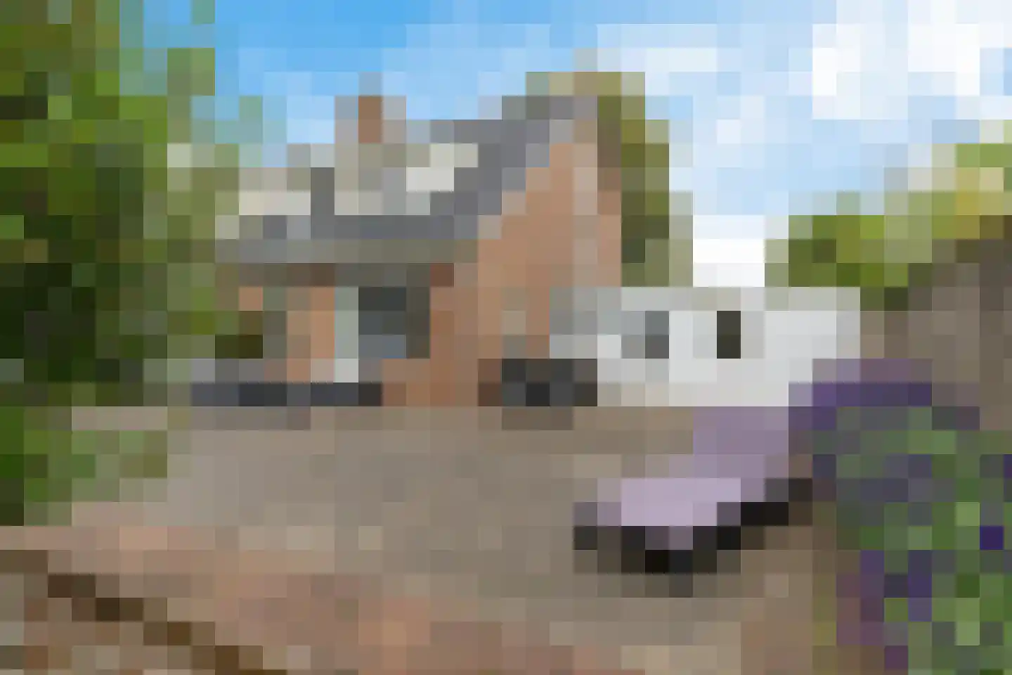 Kolmeer 16 Sneek thumbnail 9