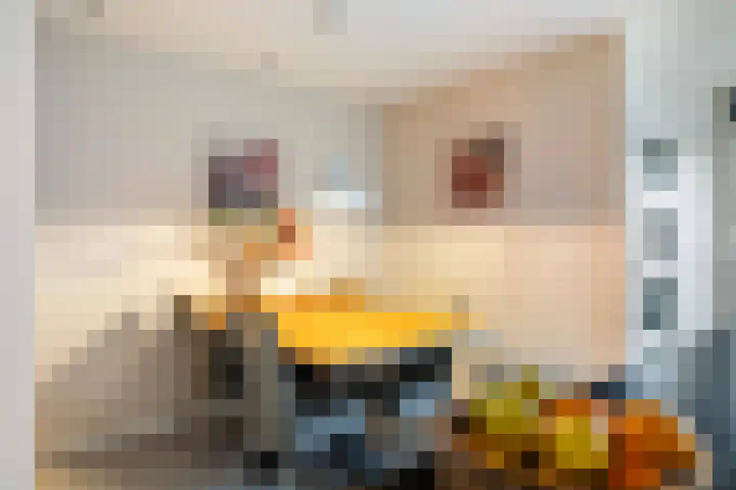 Kolmeer 37 Sneek thumbnail 13