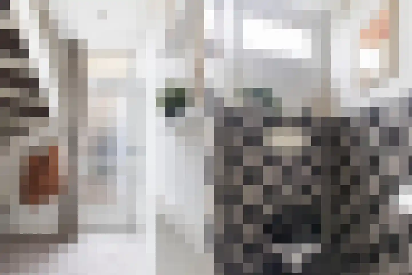 Kolmeer 37 Sneek thumbnail 6
