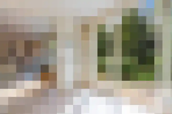 Kolmeer 44 Sneek thumbnail 14