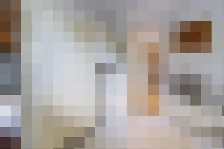 Kolmeer 44 Sneek thumbnail 16