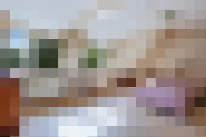 Kolmeer 44 Sneek thumbnail 21