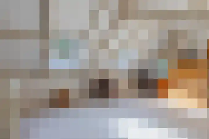 Kolmeer 44 Sneek thumbnail 29
