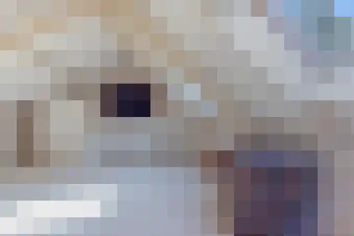 Kolmeer 44 Sneek thumbnail 30