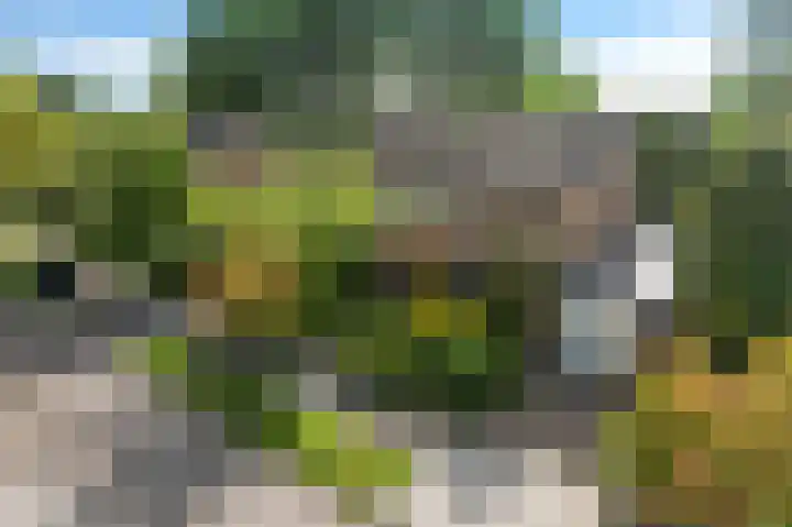 Kolmeer 44 Sneek thumbnail 31