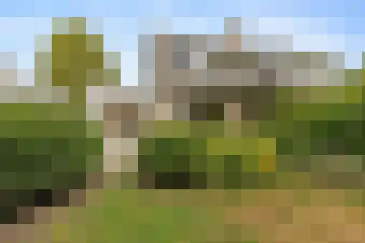 Kolmeer 44 Sneek thumbnail 32