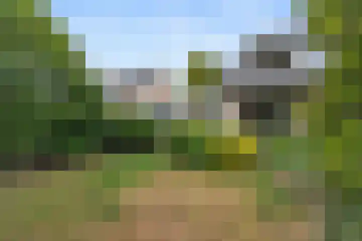 Kolmeer 44 Sneek thumbnail 33