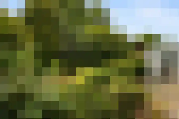 Kolmeer 44 Sneek thumbnail 34