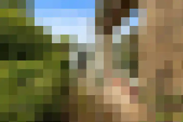Kolmeer 44 Sneek thumbnail 35