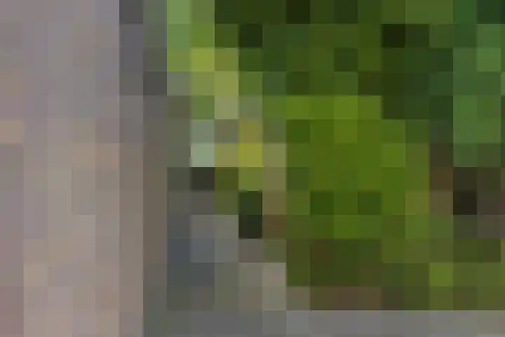 Kolmeer 44 Sneek thumbnail 38
