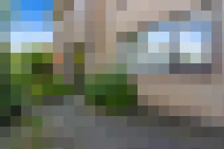 Kolmeer 44 Sneek thumbnail 39