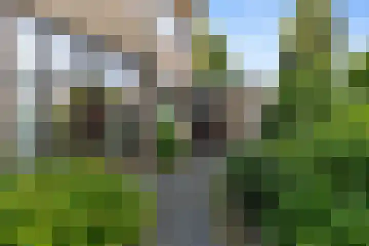 Kolmeer 44 Sneek thumbnail 4