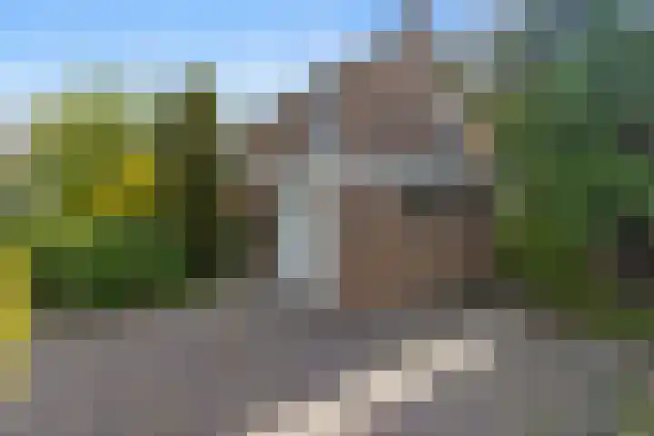 Kolmeer 44 Sneek thumbnail 40