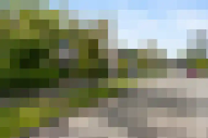 Kolmeer 44 Sneek thumbnail 42
