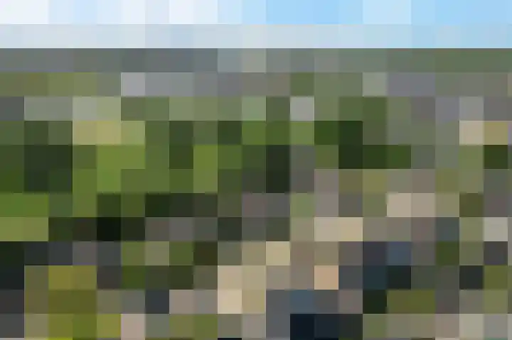 Kolmeer 44 Sneek thumbnail 44