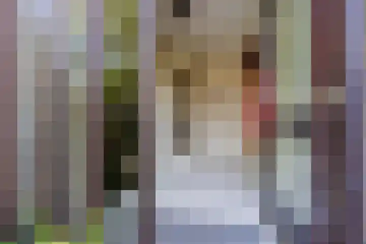 Kolmeer 44 Sneek thumbnail 5