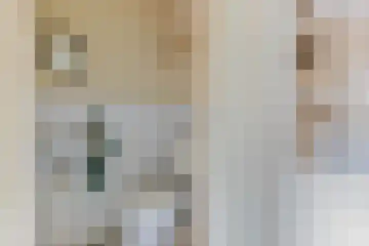 Kolmeer 44 Sneek thumbnail 7
