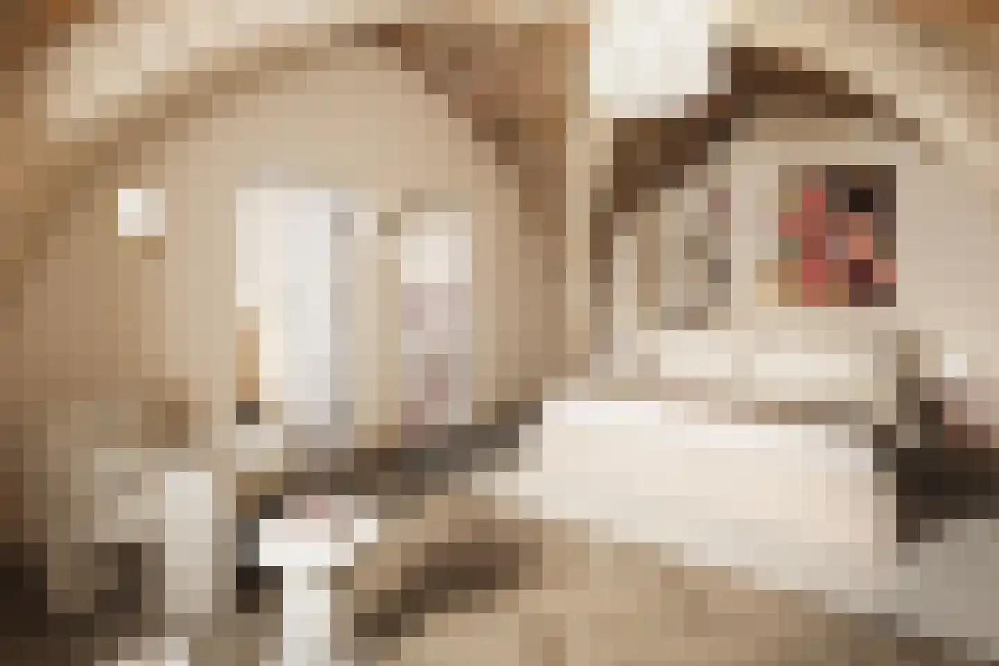 Kolmonderstraat 18 A Wittem thumbnail 5
