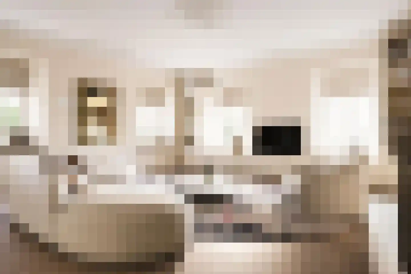 Kolmonderstraat 18 Wittem thumbnail 5