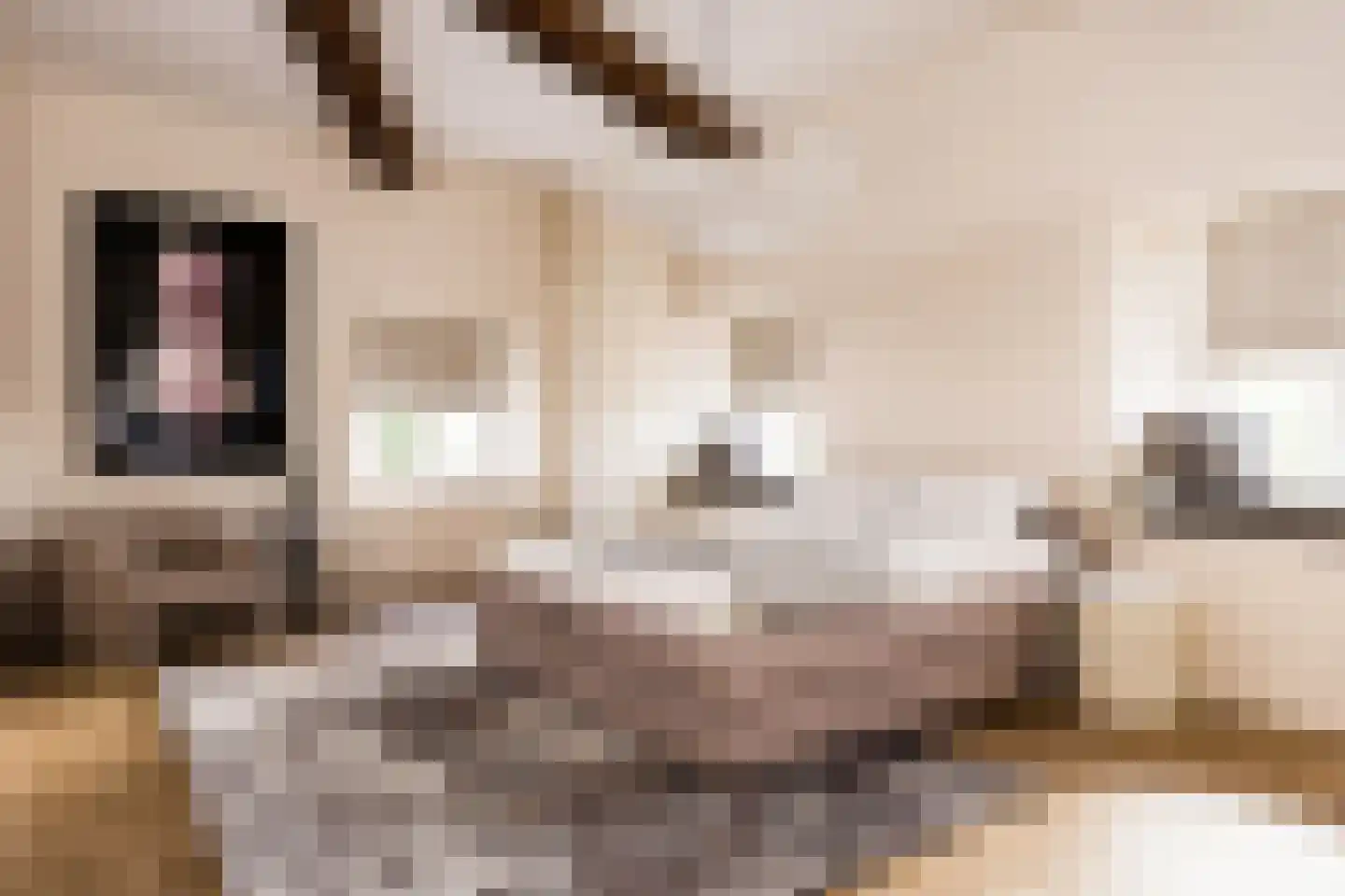Kolmonderstraat 18 Wittem thumbnail 7